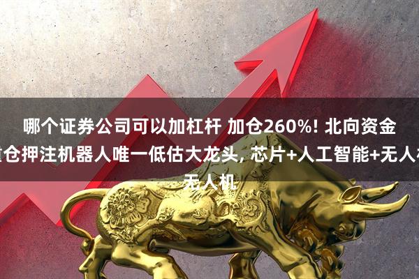 哪个证券公司可以加杠杆 加仓260%! 北向资金重仓押注机器人唯一低估大龙头, 芯片+人工智能+无人机