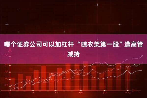 哪个证券公司可以加杠杆 “晾衣架第一股”遭高管减持